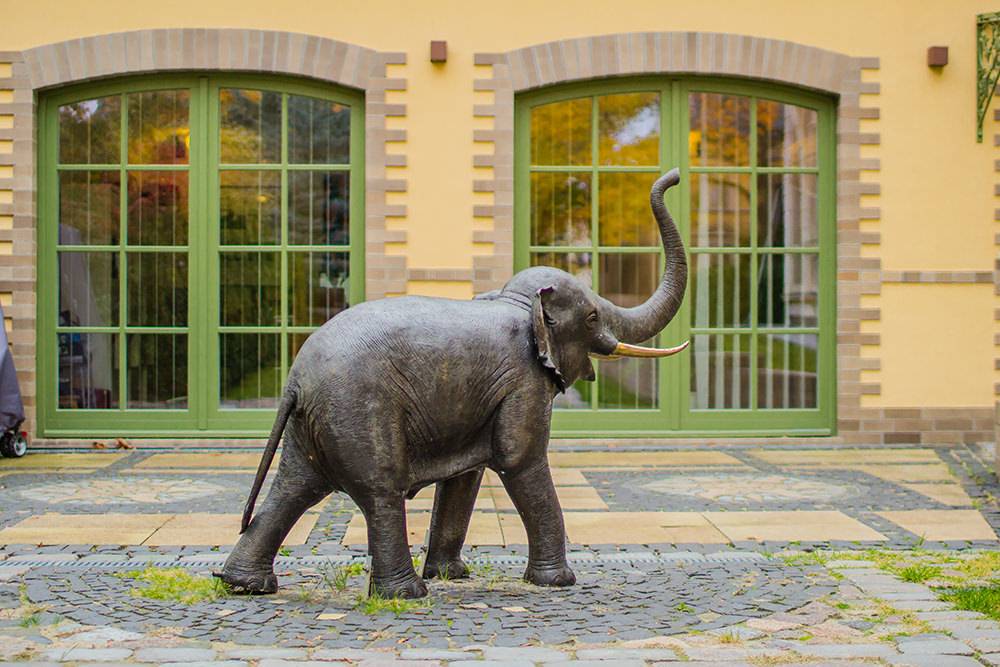 Elefantenfigur im Innenhof vor grünen Fenstern und gelber Fassade des Institutsgebäudes.